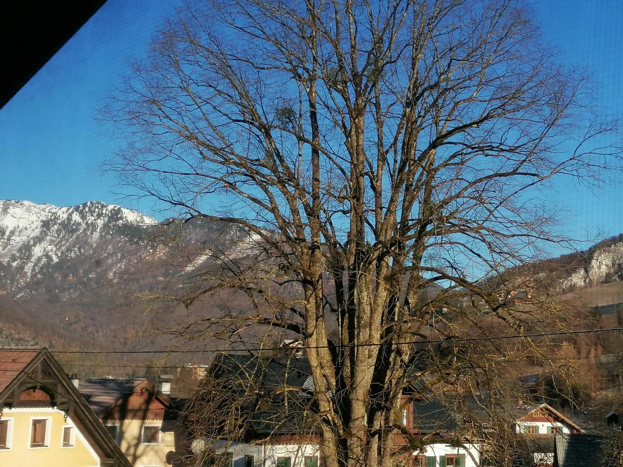 Alpenblumal Apartman Bad Goisern Kültér fotó
